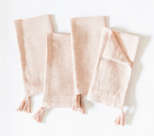 Load image into Gallery viewer, Blush Dinner Napkin Pair