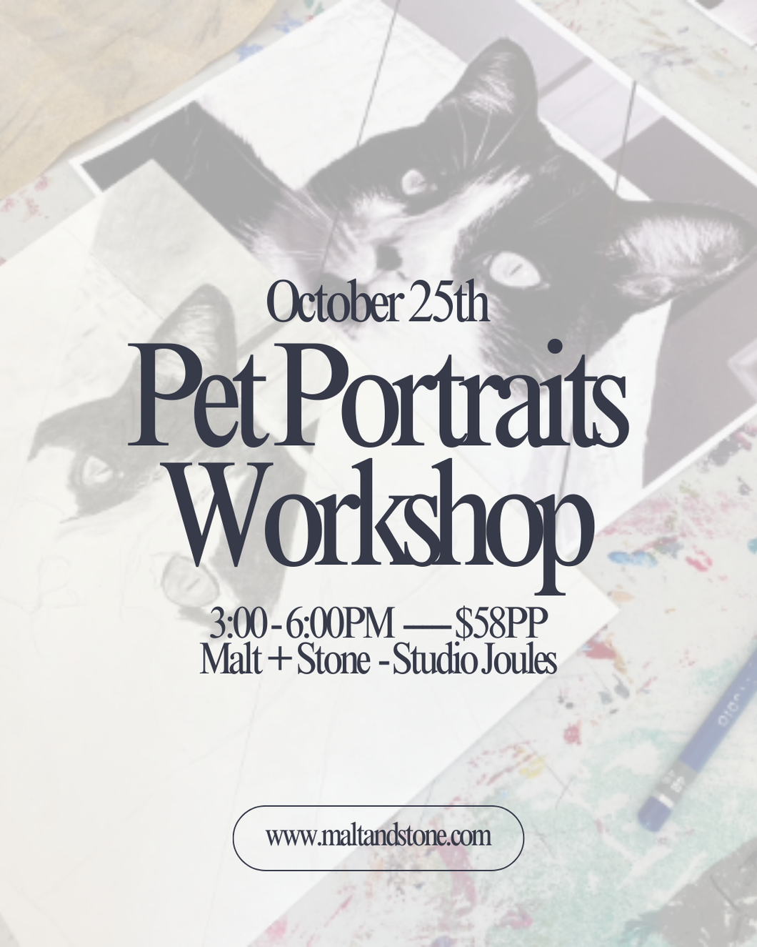 Pet Portraits